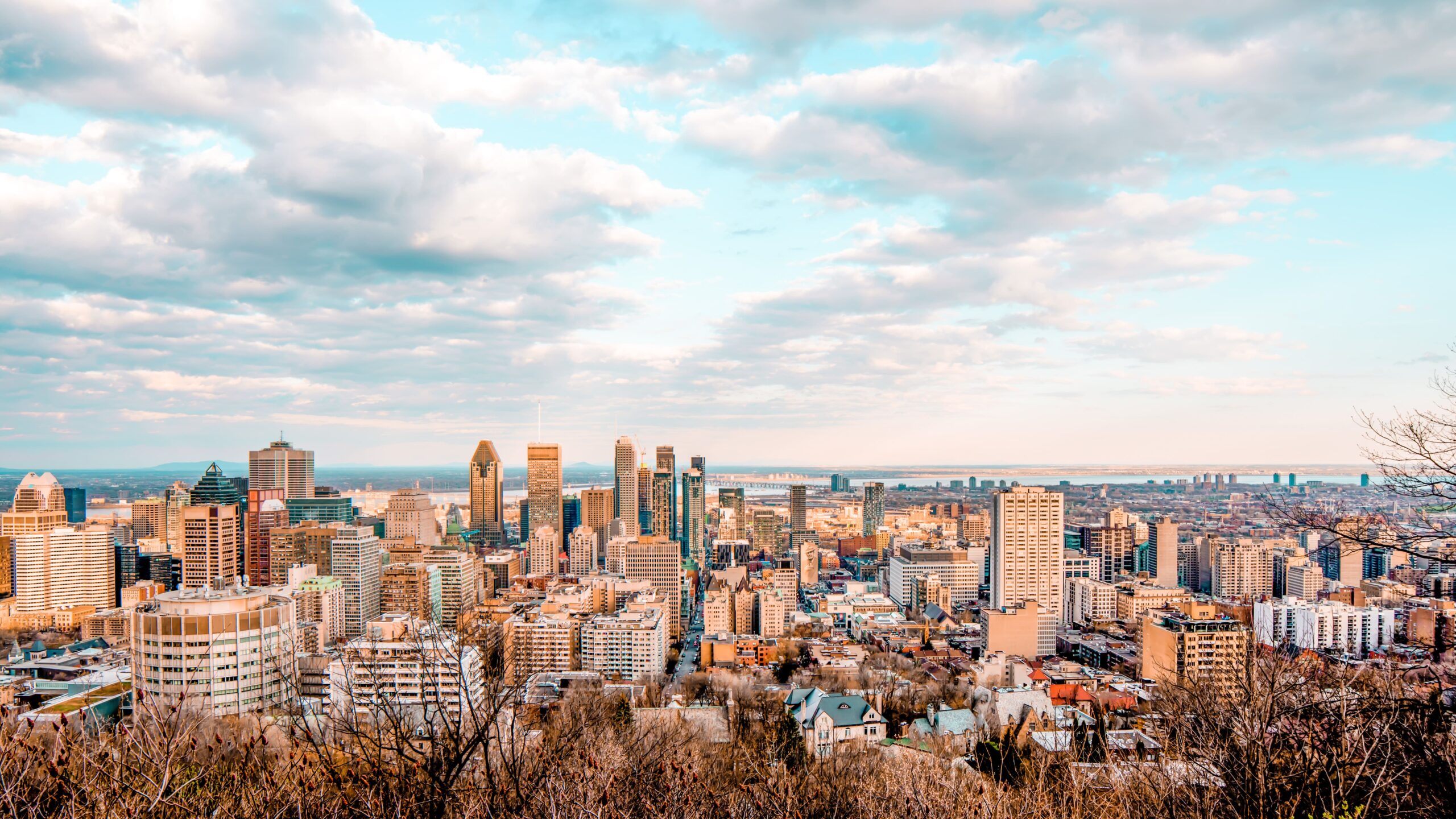 Immersion à Montréal — option internationale Bachelor Institute